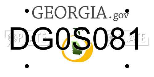 DG0S081 Georgia License Plate