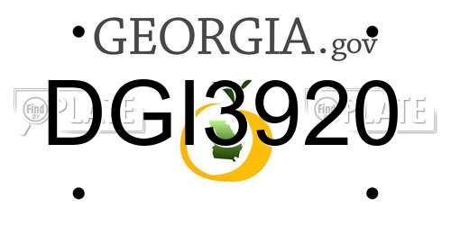 DGI3920 Georgia License Plate