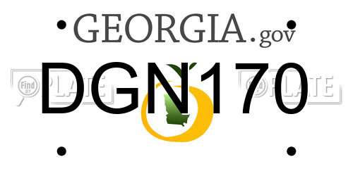 DGN170 Georgia License Plate