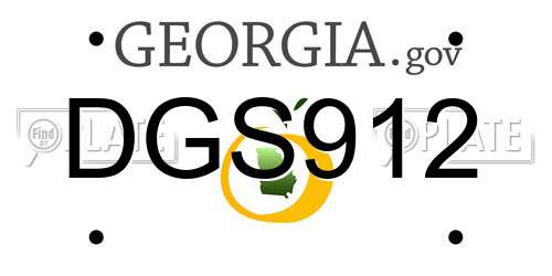 DGS912 Georgia License Plate