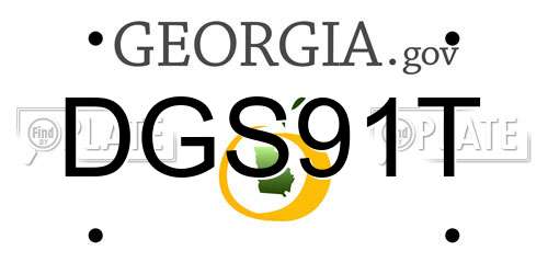 DGS91T Georgia License Plate