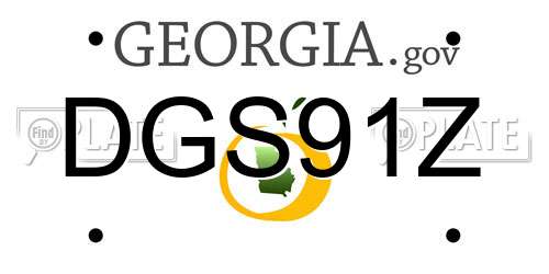 DGS91Z Georgia License Plate