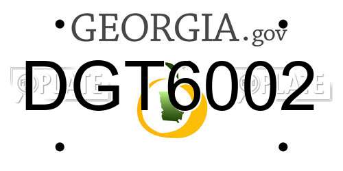 DGT6002 Georgia License Plate