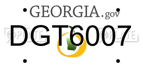 DGT6007 Georgia License Plate