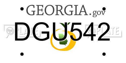 DGU542 Georgia License Plate