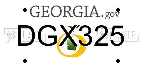 DGX325 Georgia License Plate