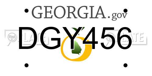 DGY456 Georgia License Plate