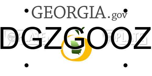 DGZGOOZ Georgia License Plate