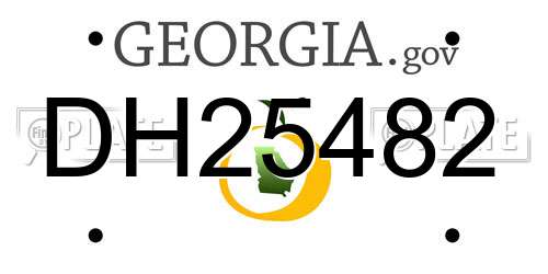 DH25482 Georgia License Plate