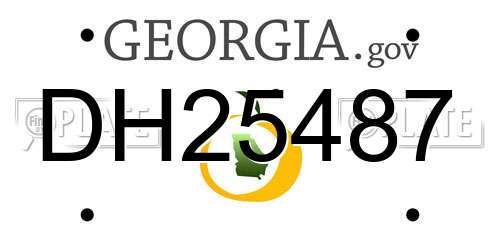 DH25487 Georgia License Plate