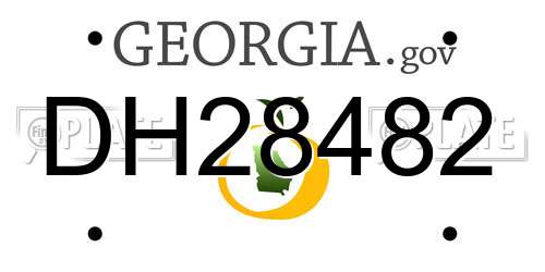 DH28482 Georgia License Plate