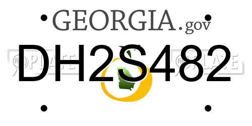 DH2S482 Georgia License Plate