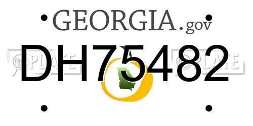 DH75482 Georgia License Plate