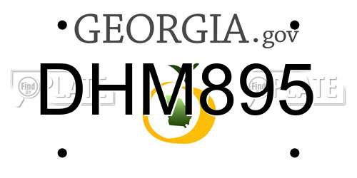 DHM895 Georgia License Plate