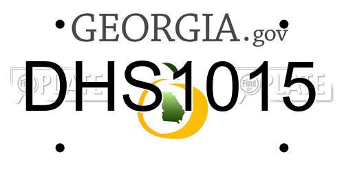 DHS1015 Georgia License Plate