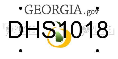 DHS1018 Georgia License Plate