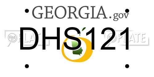 DHS121 Georgia License Plate