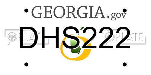 DHS222 Georgia License Plate