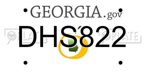 DHS822 Georgia License Plate