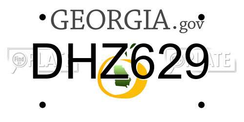 DHZ629 Georgia License Plate