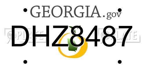 DHZ8487 Georgia License Plate