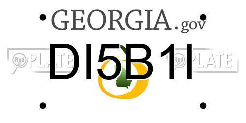 DI5B1I Georgia License Plate