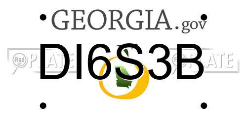 DI6S3B Georgia License Plate