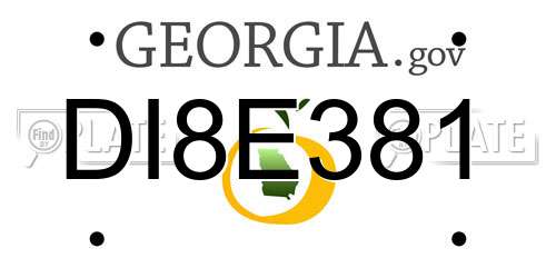 DI8E381 Georgia License Plate
