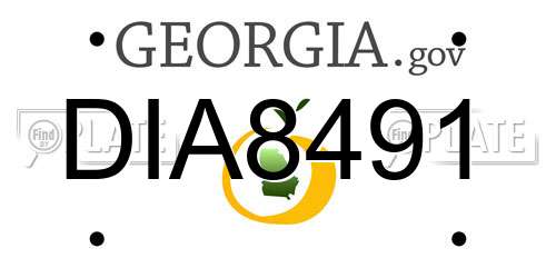DIA8491 Georgia License Plate