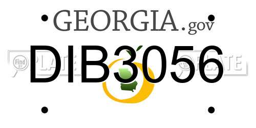 DIB3056 Georgia License Plate