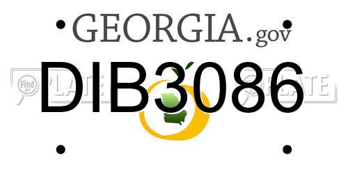 DIB3086 Georgia License Plate