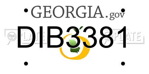 DIB3381 Georgia License Plate