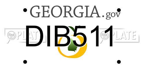 DIB511 Georgia License Plate