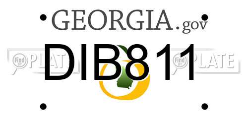 DIB811 Georgia License Plate