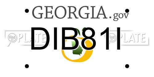 DIB81I Georgia License Plate