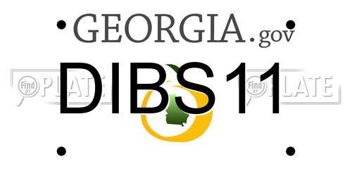 DIBS11 Georgia License Plate