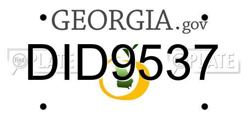 DID9537 Georgia License Plate