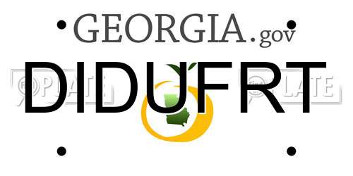 DIDUFRT Georgia License Plate