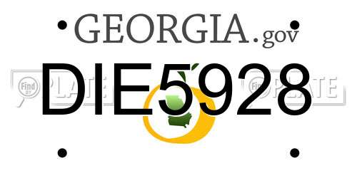 DIE5928 Georgia License Plate