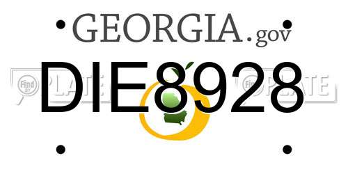 DIE8928 Georgia License Plate
