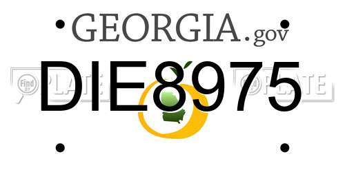DIE8975 Georgia License Plate