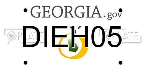 DIEH05 Georgia License Plate