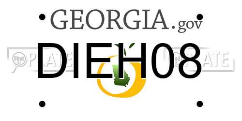 DIEH08 Georgia License Plate