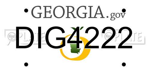 DIG4222 Georgia License Plate