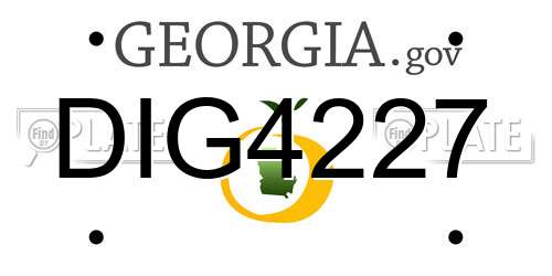 DIG4227 Georgia License Plate