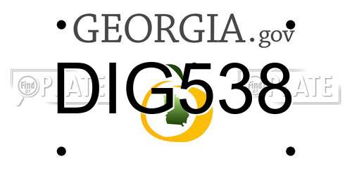 DIG538 Georgia License Plate