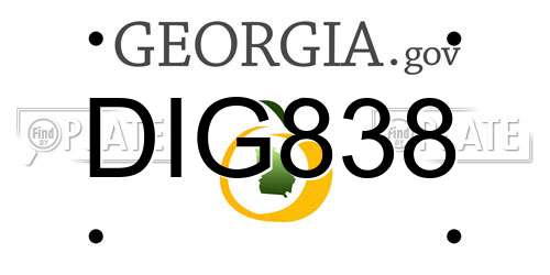 DIG838 Georgia License Plate