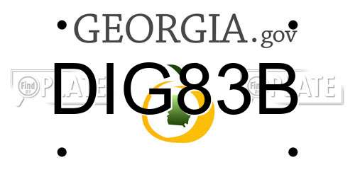 DIG83B Georgia License Plate