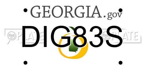 DIG83S Georgia License Plate