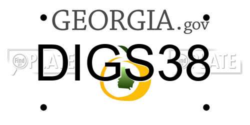 DIGS38 Georgia License Plate